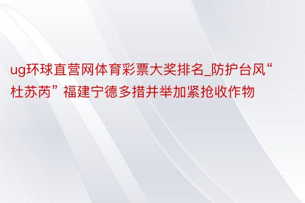 ug环球直营网体育彩票大奖排名_防护台风“杜苏芮” 福建宁德多措并举加紧抢收作物